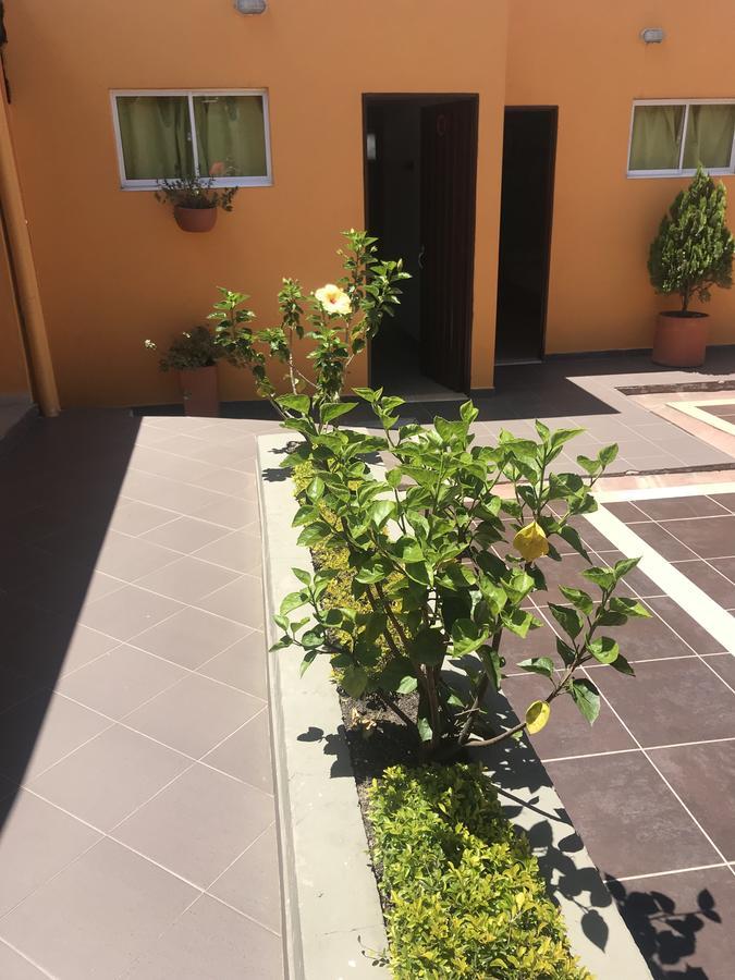 Hostal El Hangar Rionegro Esterno foto